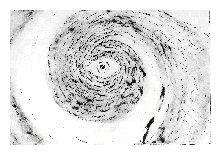 oog van de orkaan 5