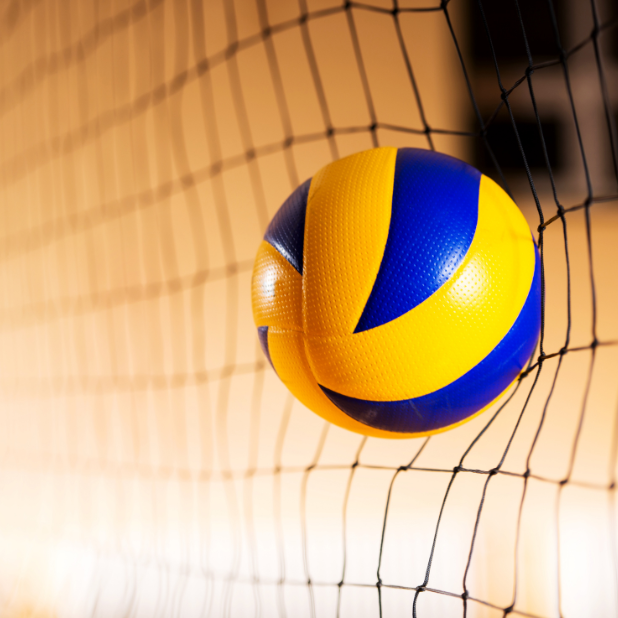 Volleybal